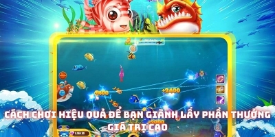 ban ca kim cuong hieu qua 1