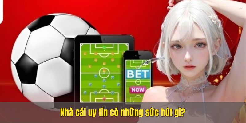 Trang nhà cái uy tín Nhacai24h1.net, bet thủ không nên bỏ qua 2 Trang nhà cái uy tín Nhacai24h1.net, bet thủ không nên bỏ qua