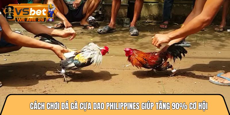 Cách chơi đá gà cựa dao philippines giúp tăng 90% cơ hội 3 Cách chơi đá gà cựa dao philippines